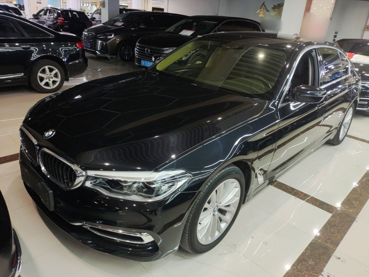 5 Series EV 2019 530Le