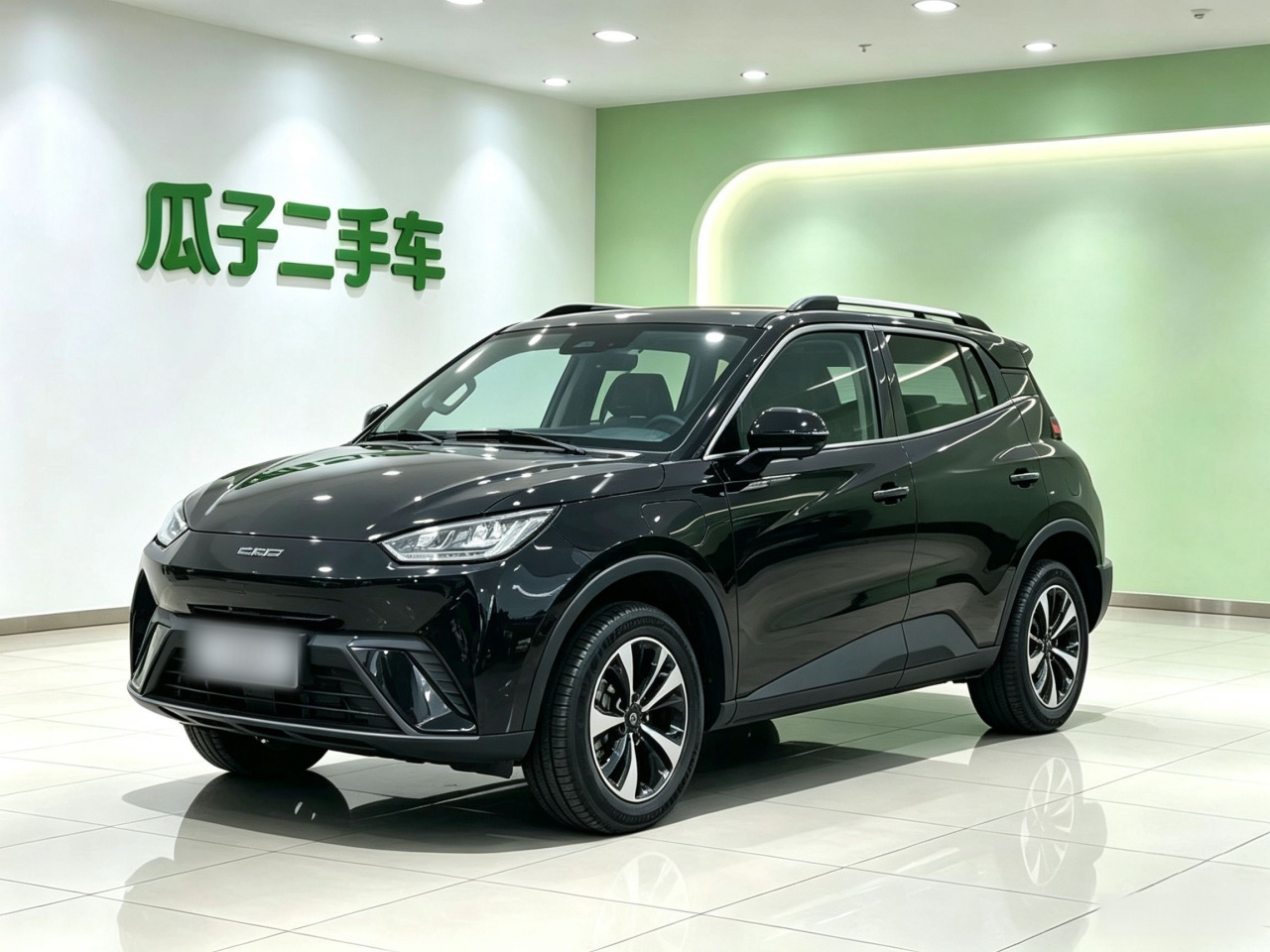 Seagull 2023 photo 3