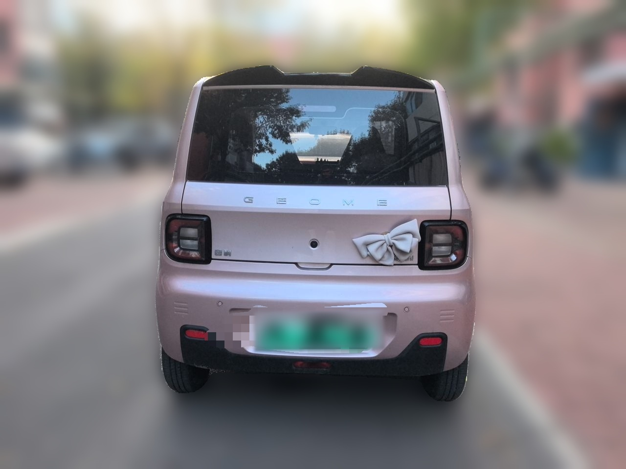 2023 Panda mini 200km Endurance Bear photo 5