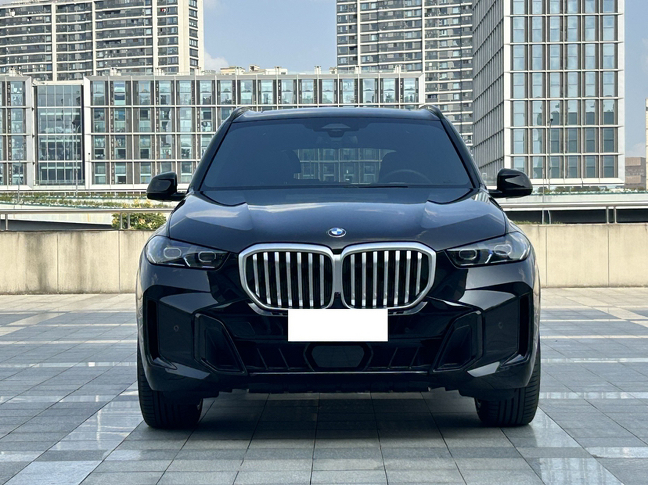 X5 2023 xDrive 40Li M M Sport Night Package photo 2
