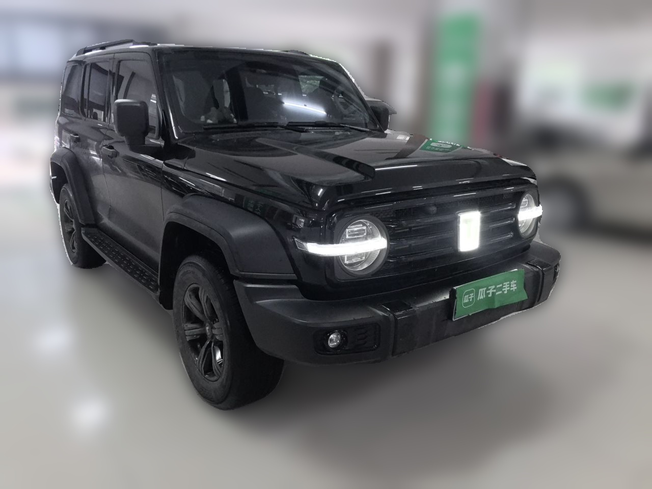 300 2024 2.0T Conqueror photo 3