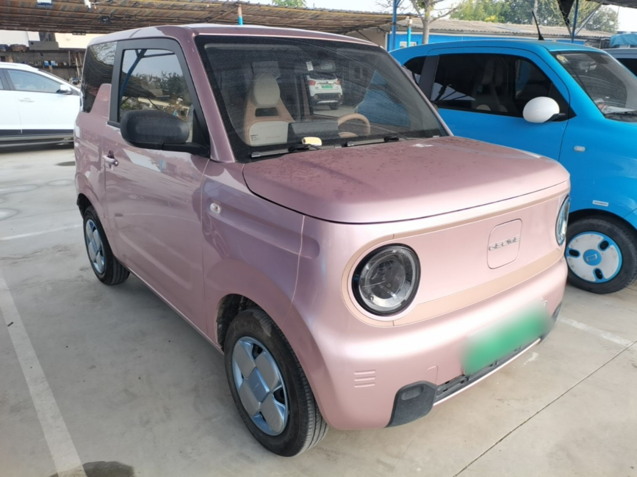2023 Panda mini 200km Endurance Bear photo 5
