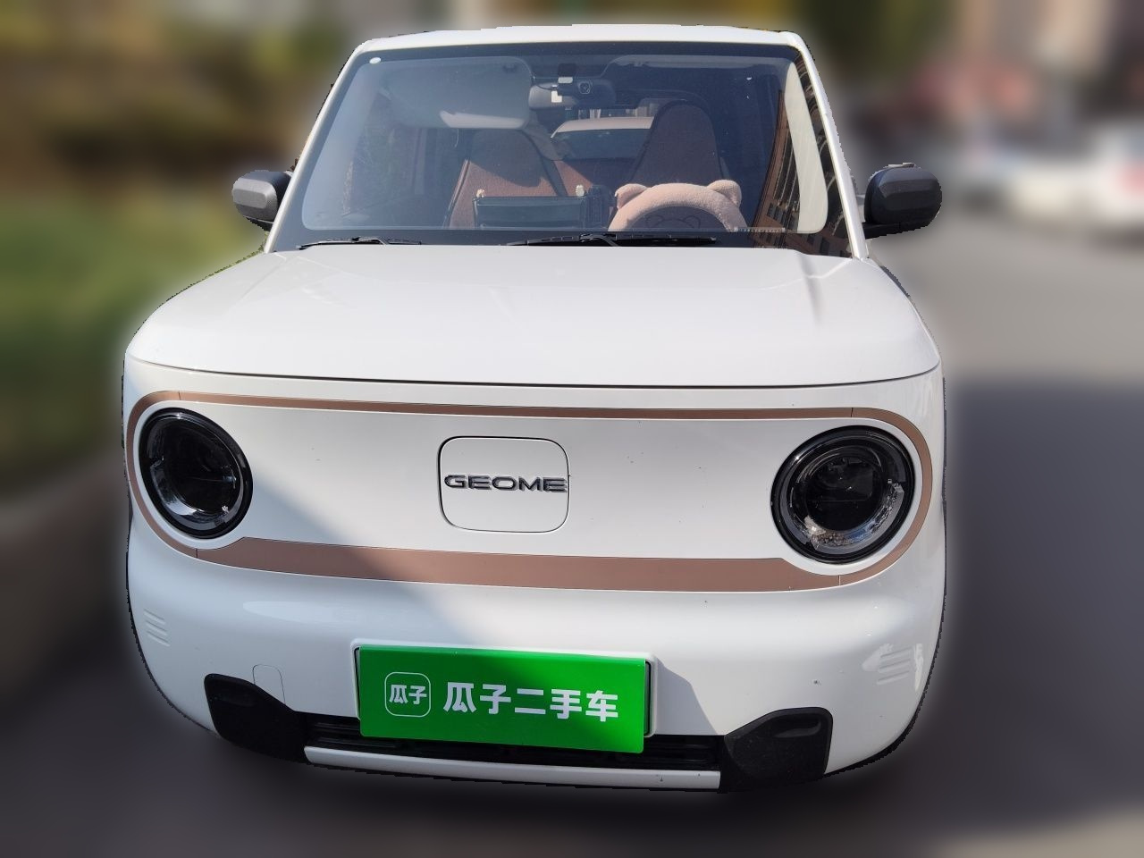 2024 Panda mini 200km Endurance Bear photo 2