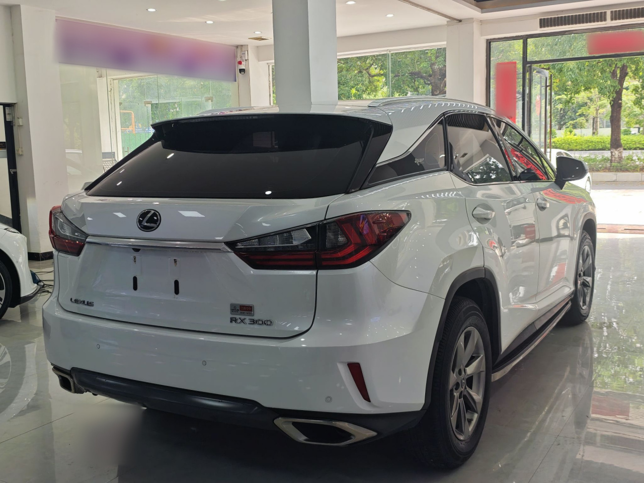 RX 2016 300 RWD Elite China V photo 4