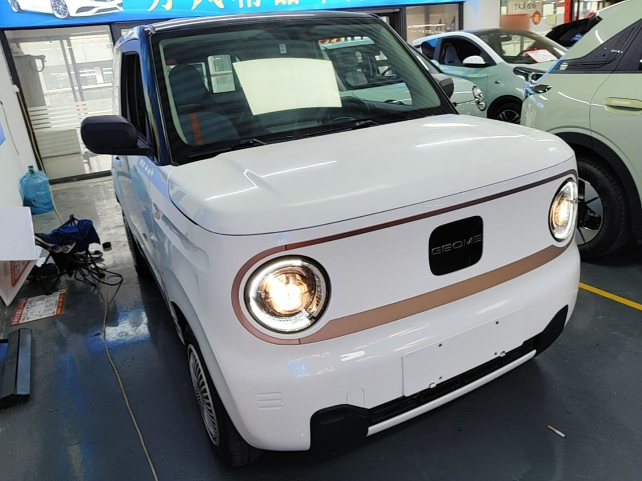 2023 Panda mini 200km Endurance Bear photo 3