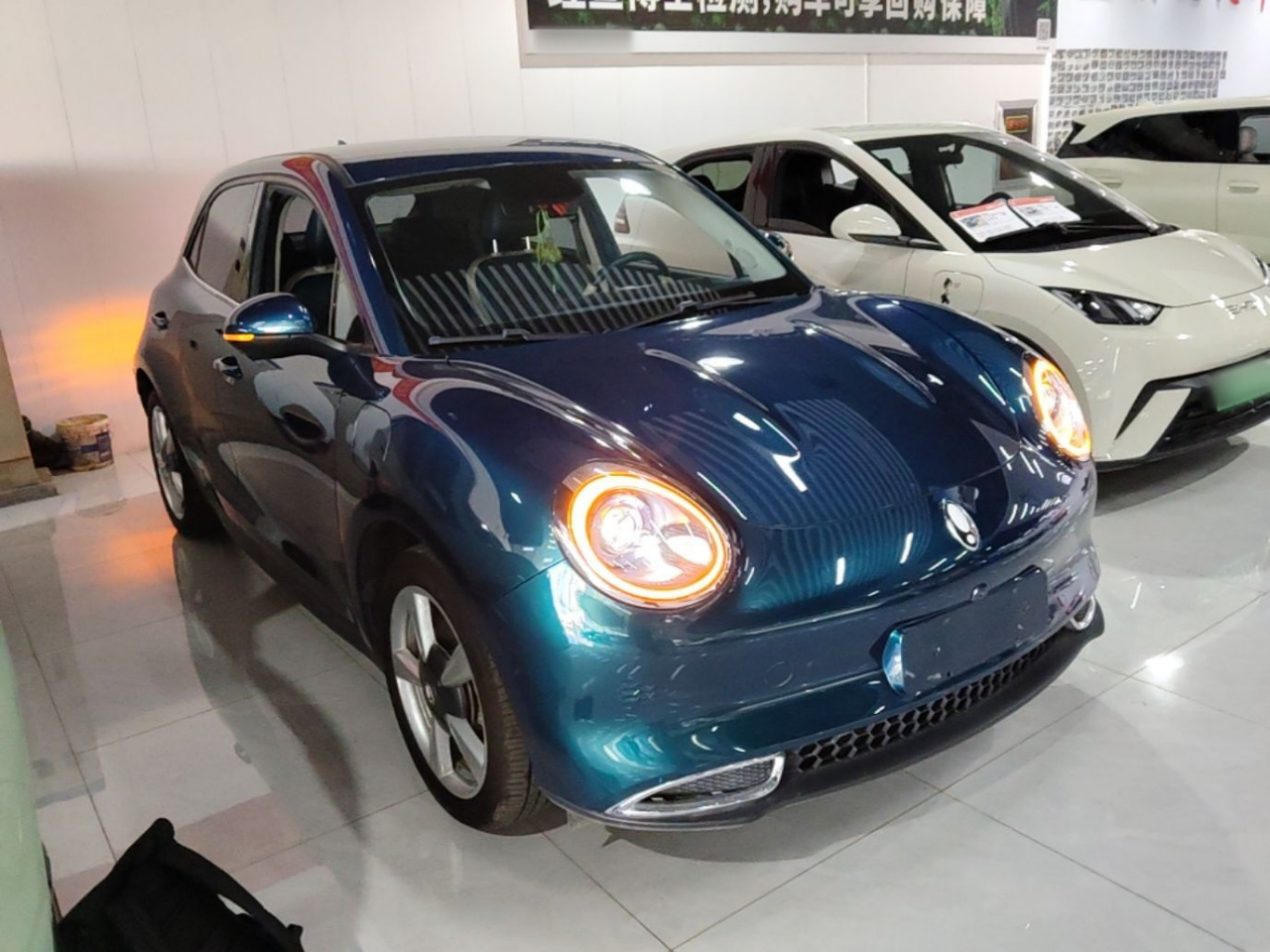 Good Cat 2022 400km Standard Range Luxury NCM photo 3