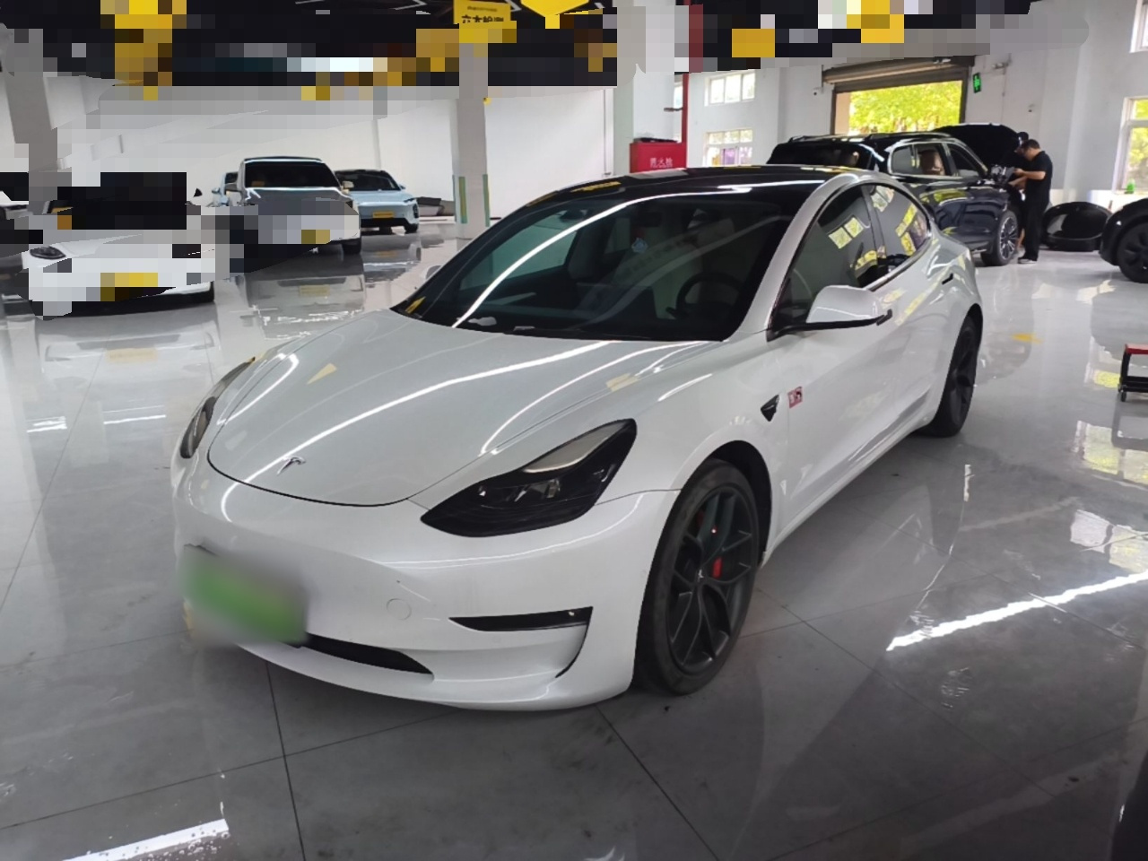 Model 3 2021 Performance AWD 3D6