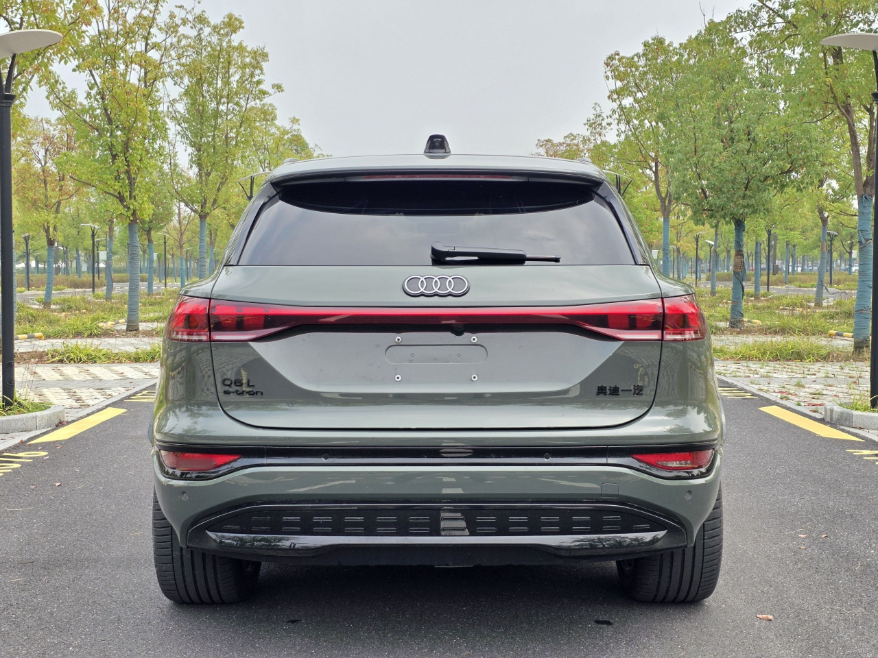 Q6L e-tron 2026 Pilot photo 5