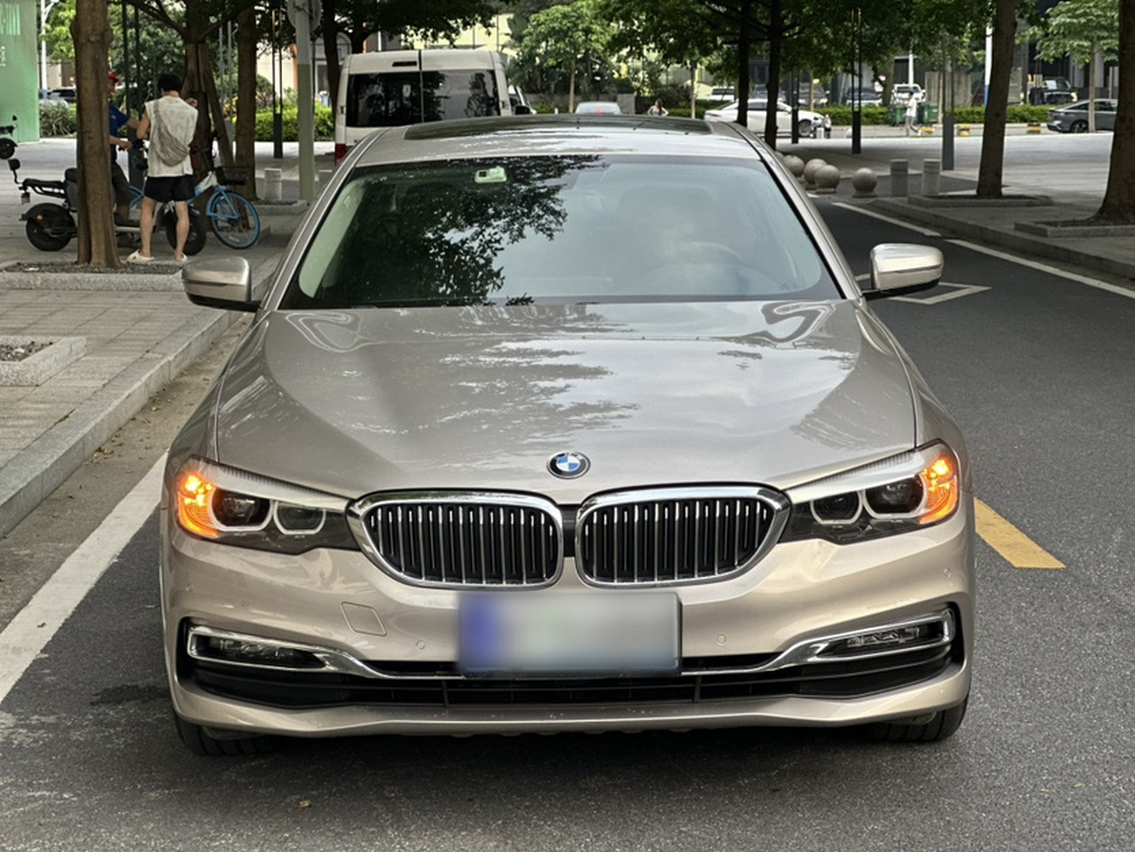 5 Series 2019 530Li Leading Luxury photo 2