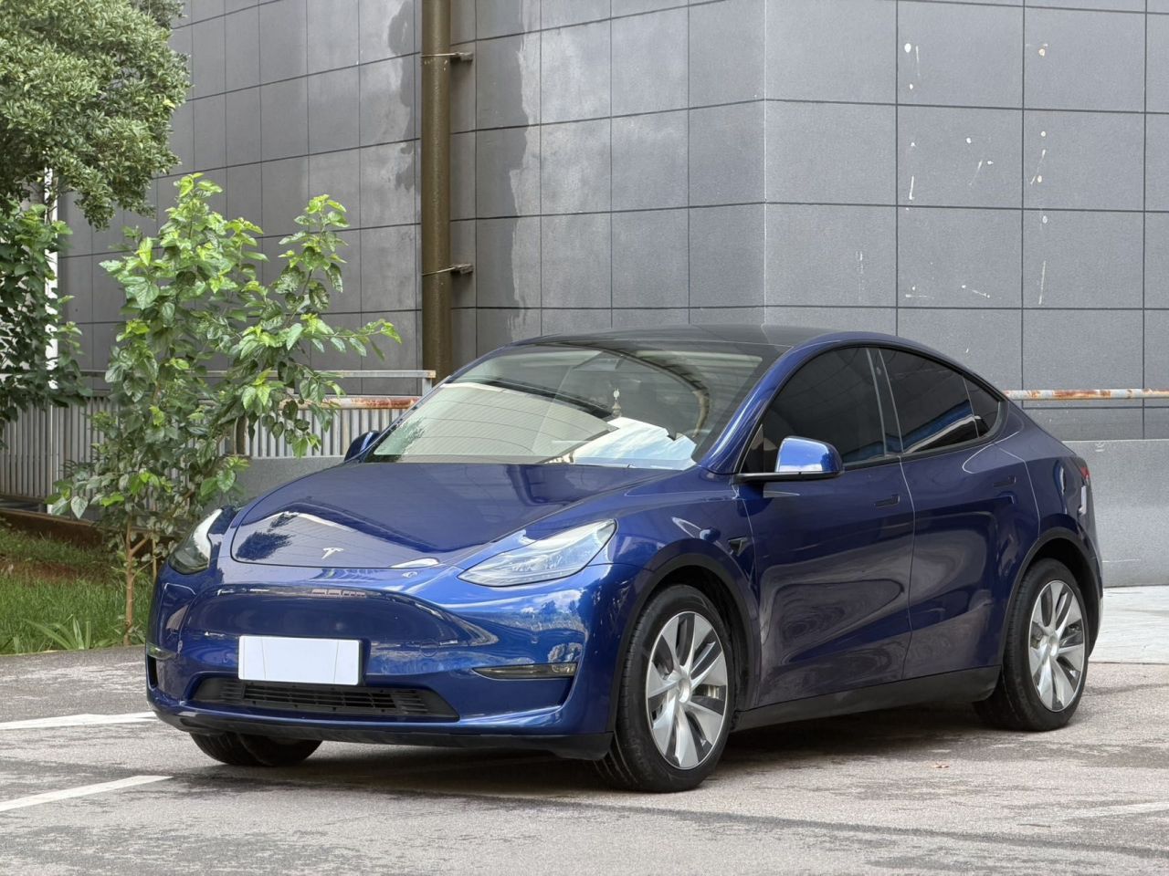 Model Y 2021 Standard Range RWD