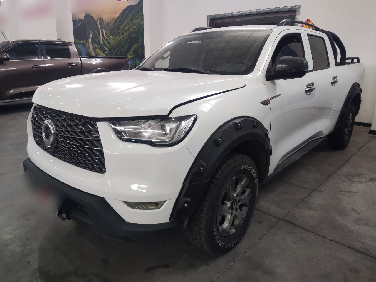 2021 2.0T AT Petrol AWD Elite GW4C20B