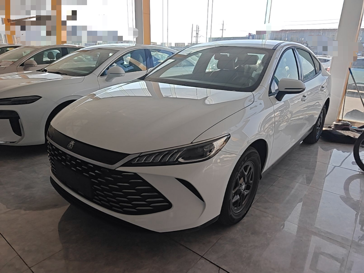 Qin PLUS 2026 DM-i 128KM Progressive