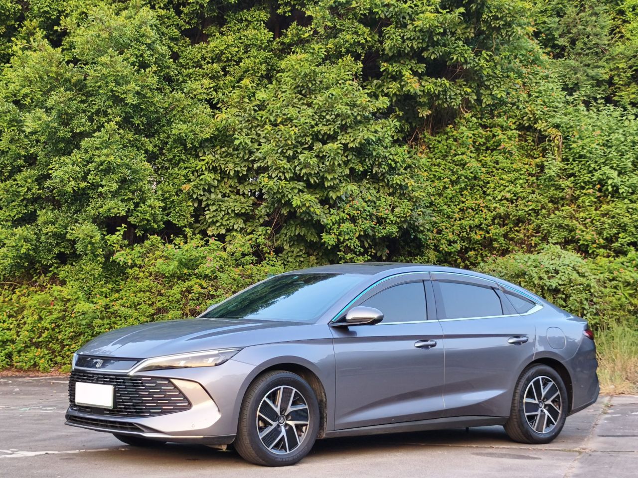 Qin L 2024 DM-i 120KM