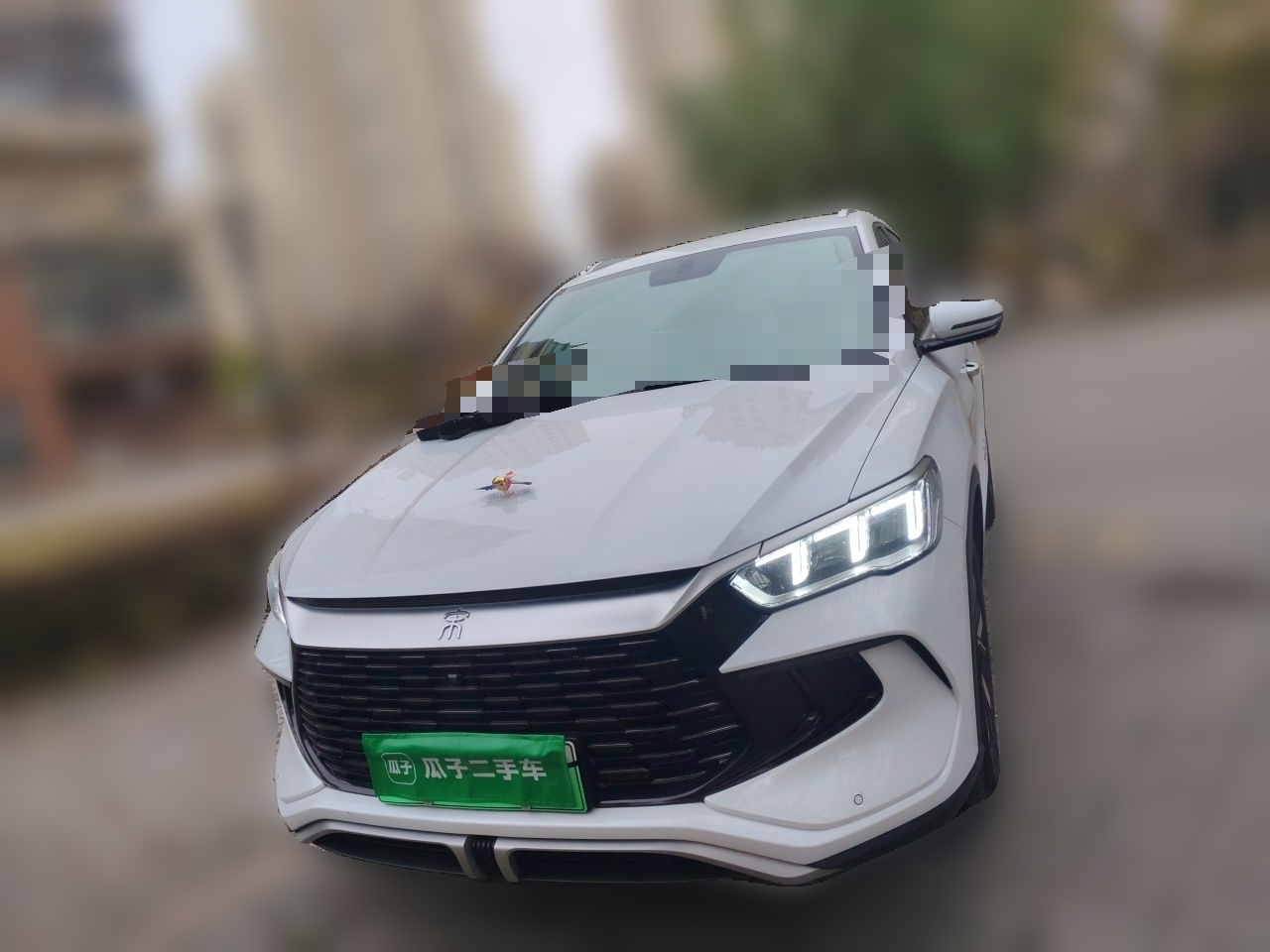 Song Pro EV 2024 Honor DM-i 71KM Pilot photo 2