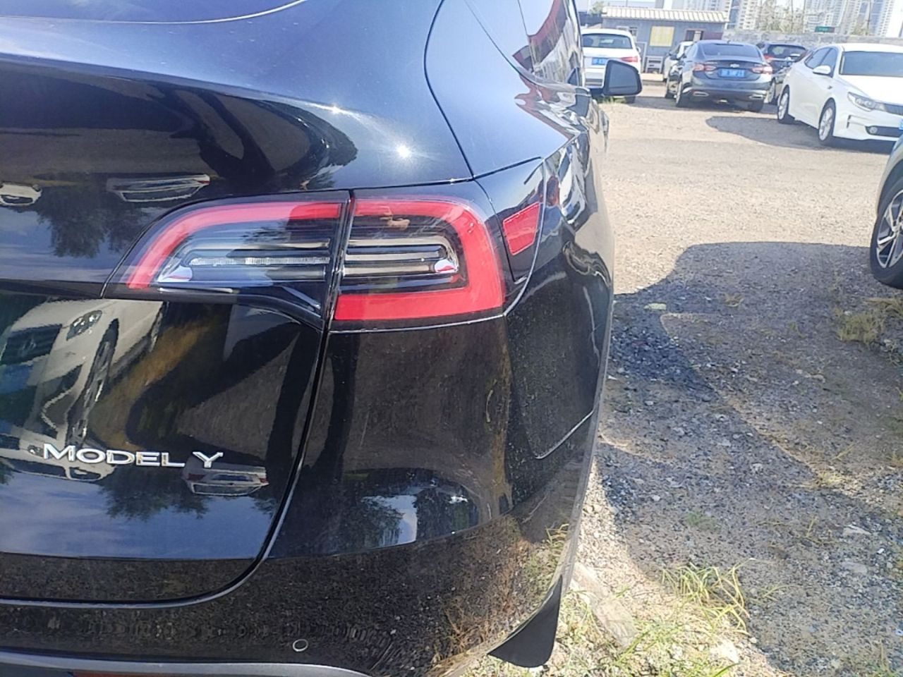 Model Y 2022 RWD photo 3