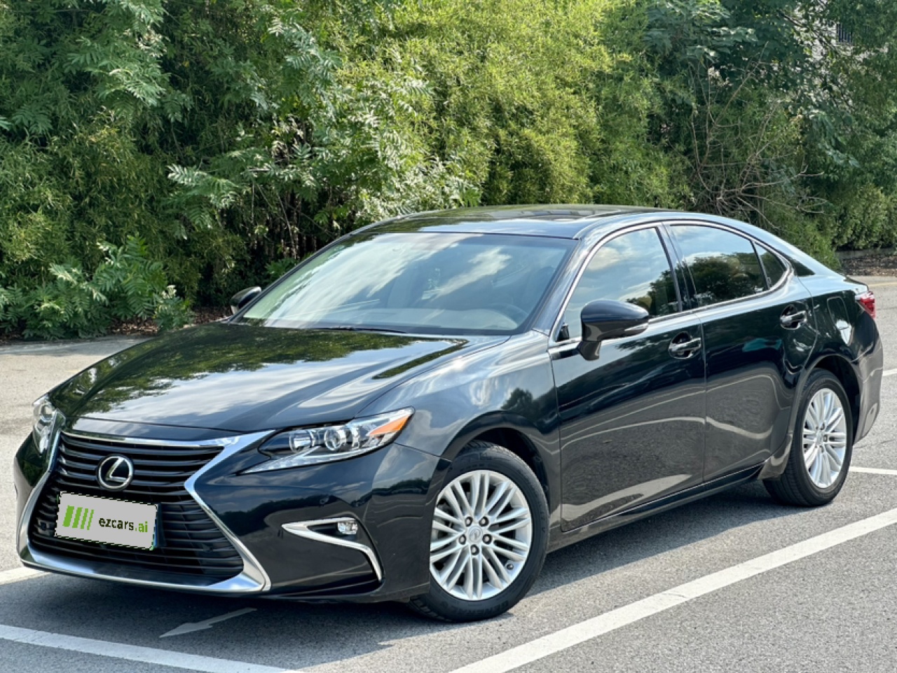ES 2015 200 Elite