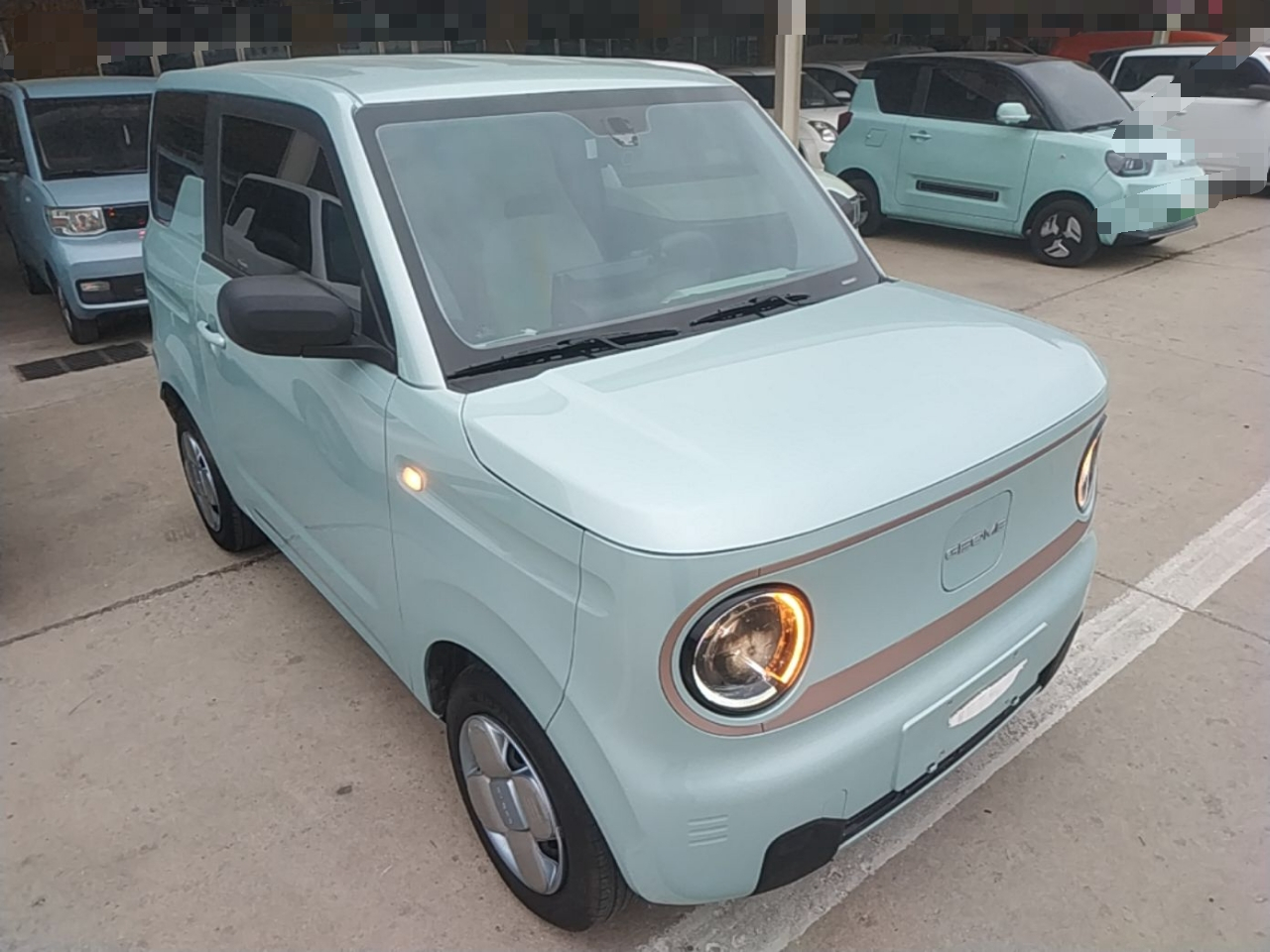 2024 Panda mini 200km Endurance Bear photo 3