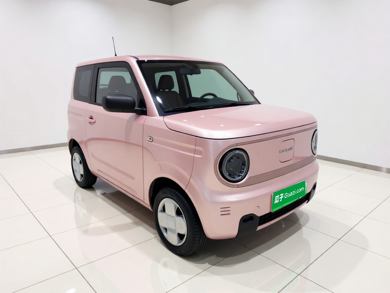2023 Panda mini 200km Endurance Bear photo 3