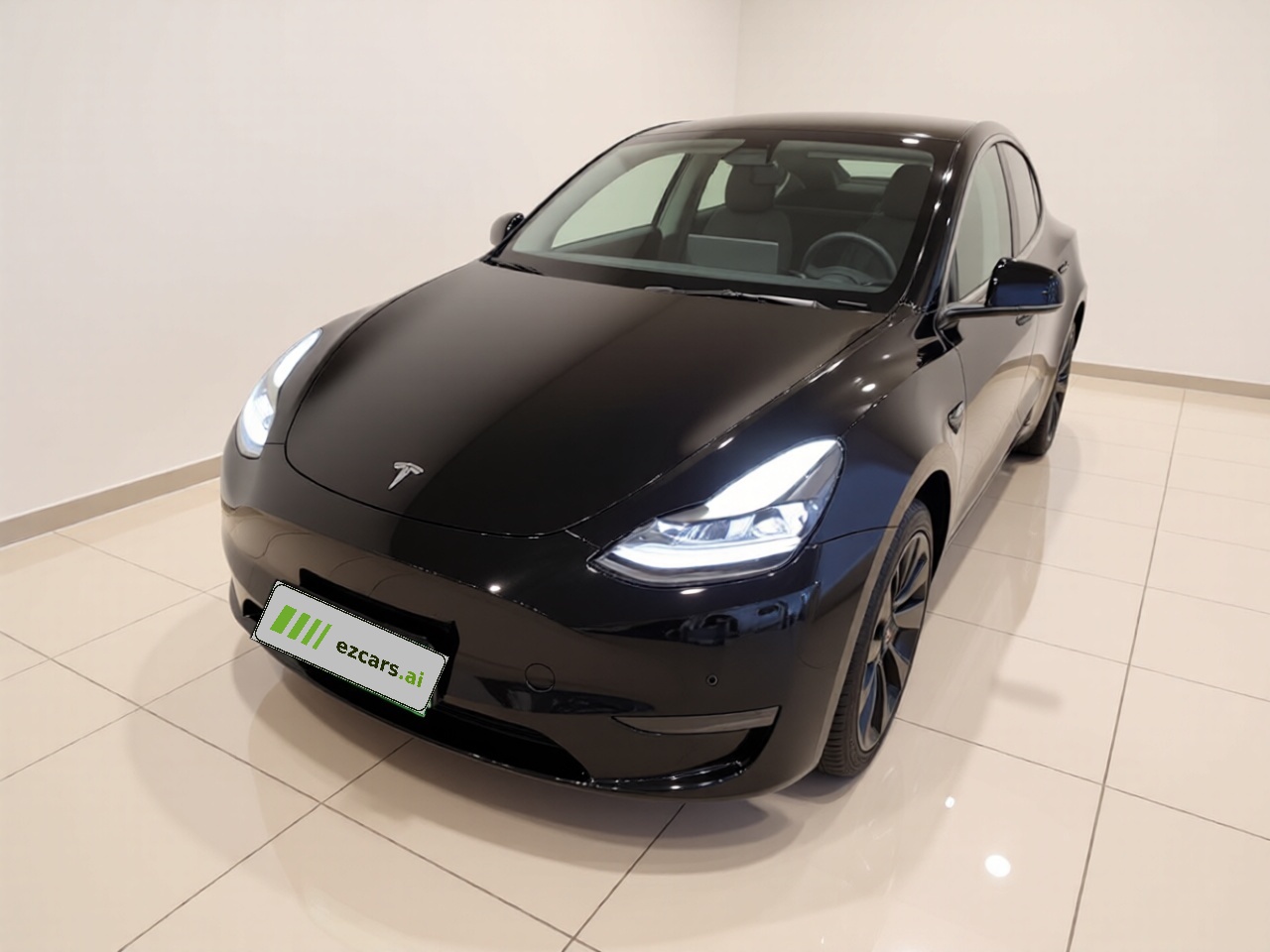 Model Y 2021 Standard Range RWD
