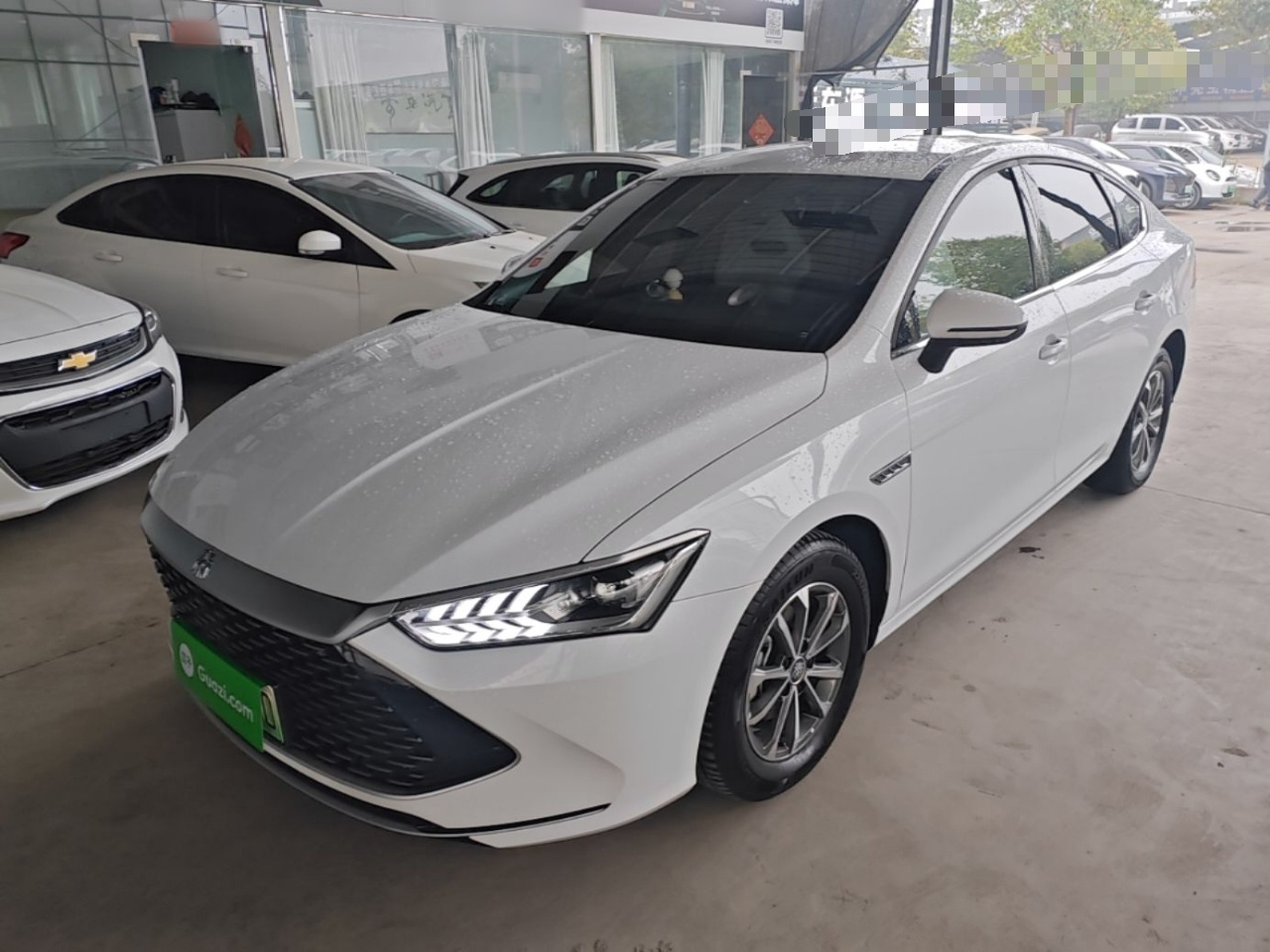 Qin PLUS 2024 Honor DM-i 55KM Leading