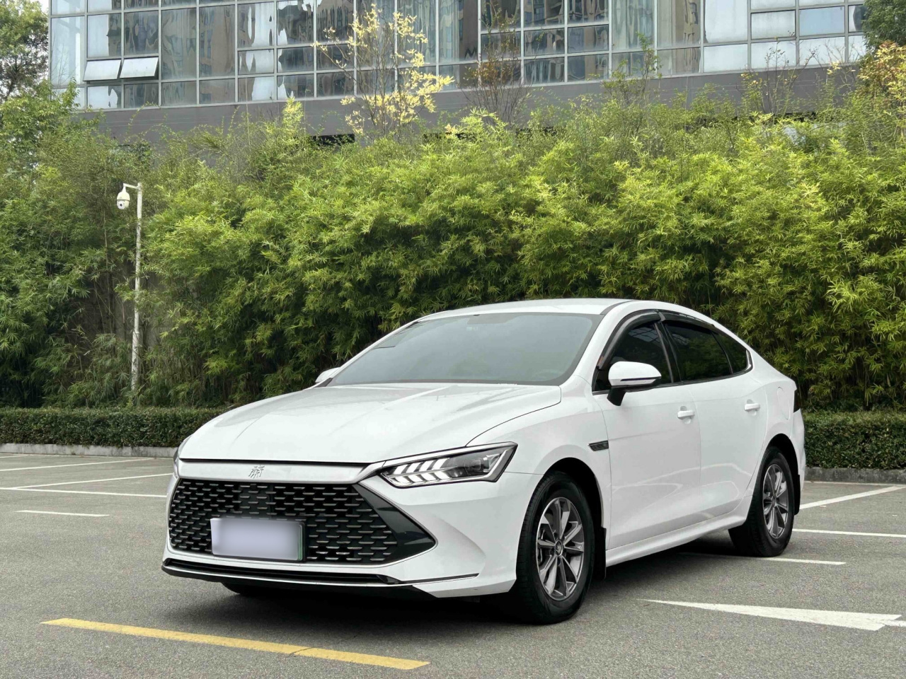 Qin PLUS 2024 Honor DM-i 55KM Leading