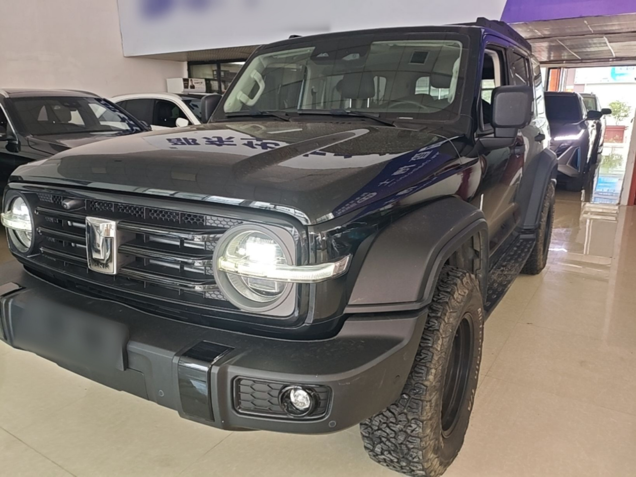 300 2021 Off-road 2.0T Conqueror