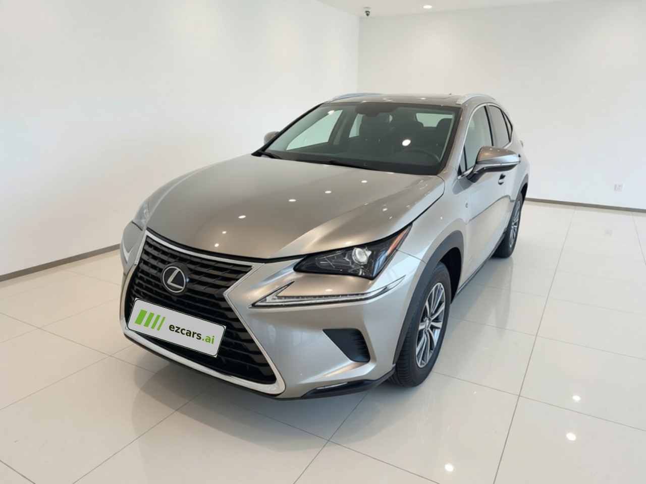 NX 2020 300h FWD China VI
