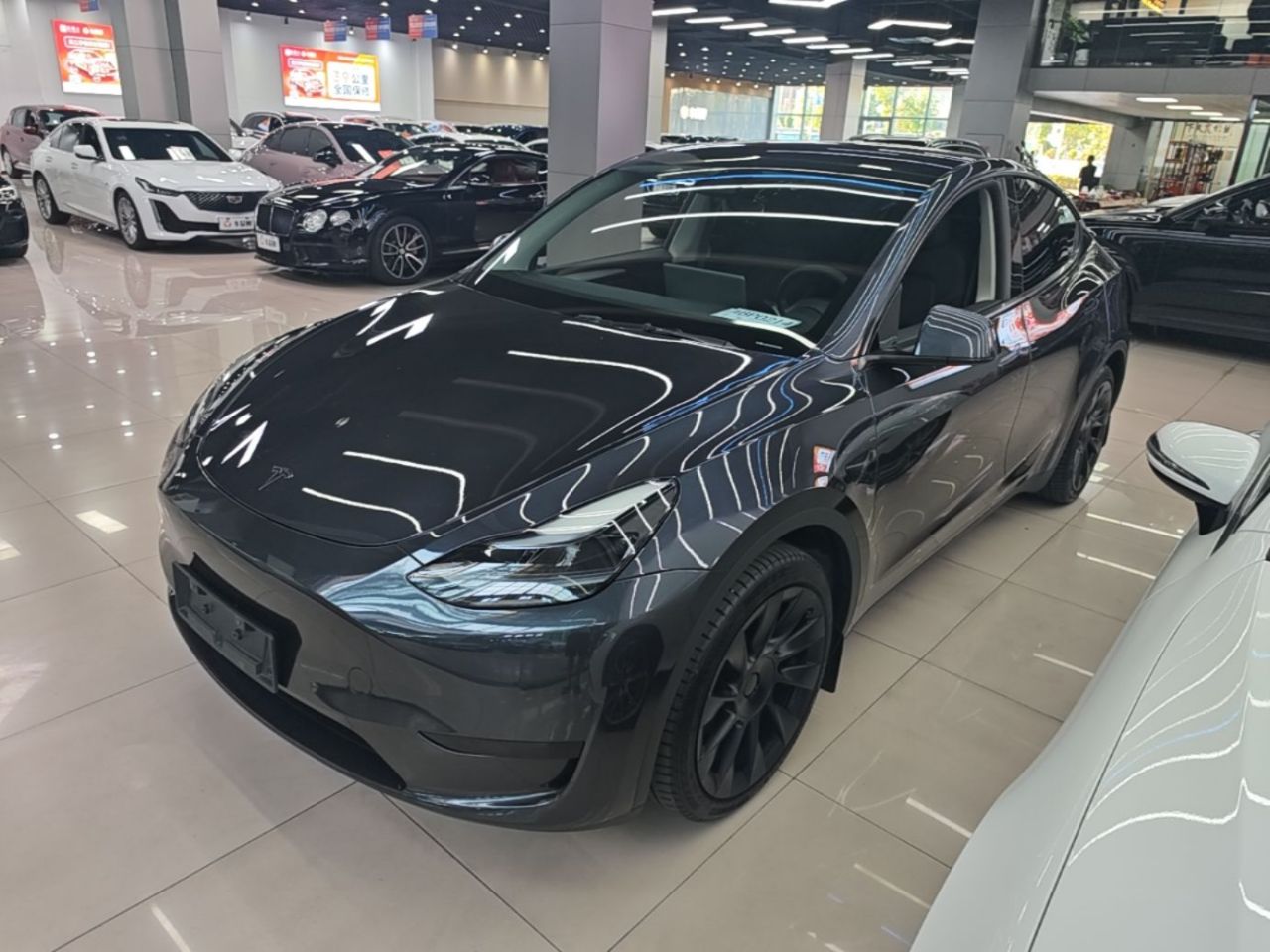 Model Y 2024 RWD