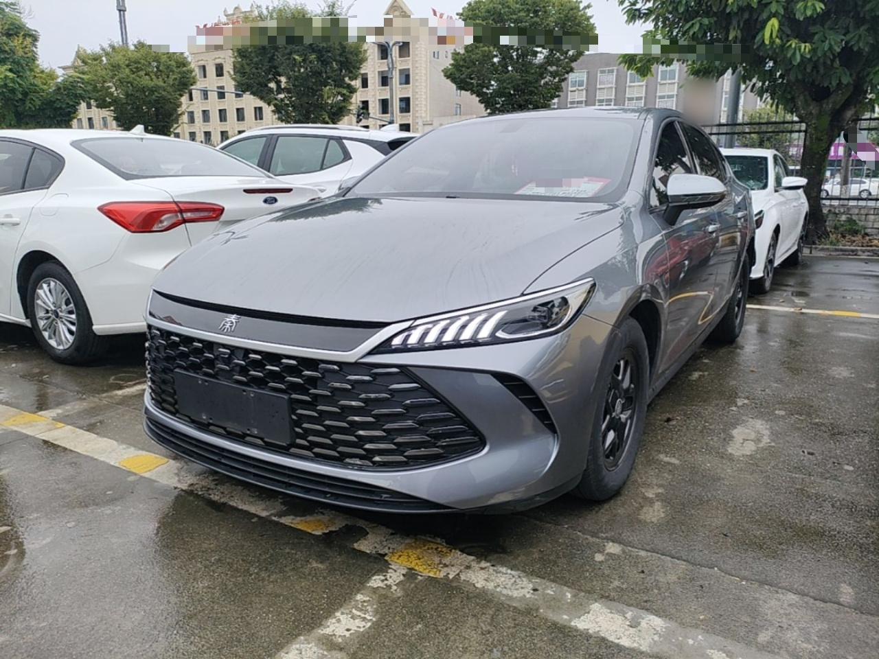 Qin PLUS 2025 DM-i ADAS 55KM Leading