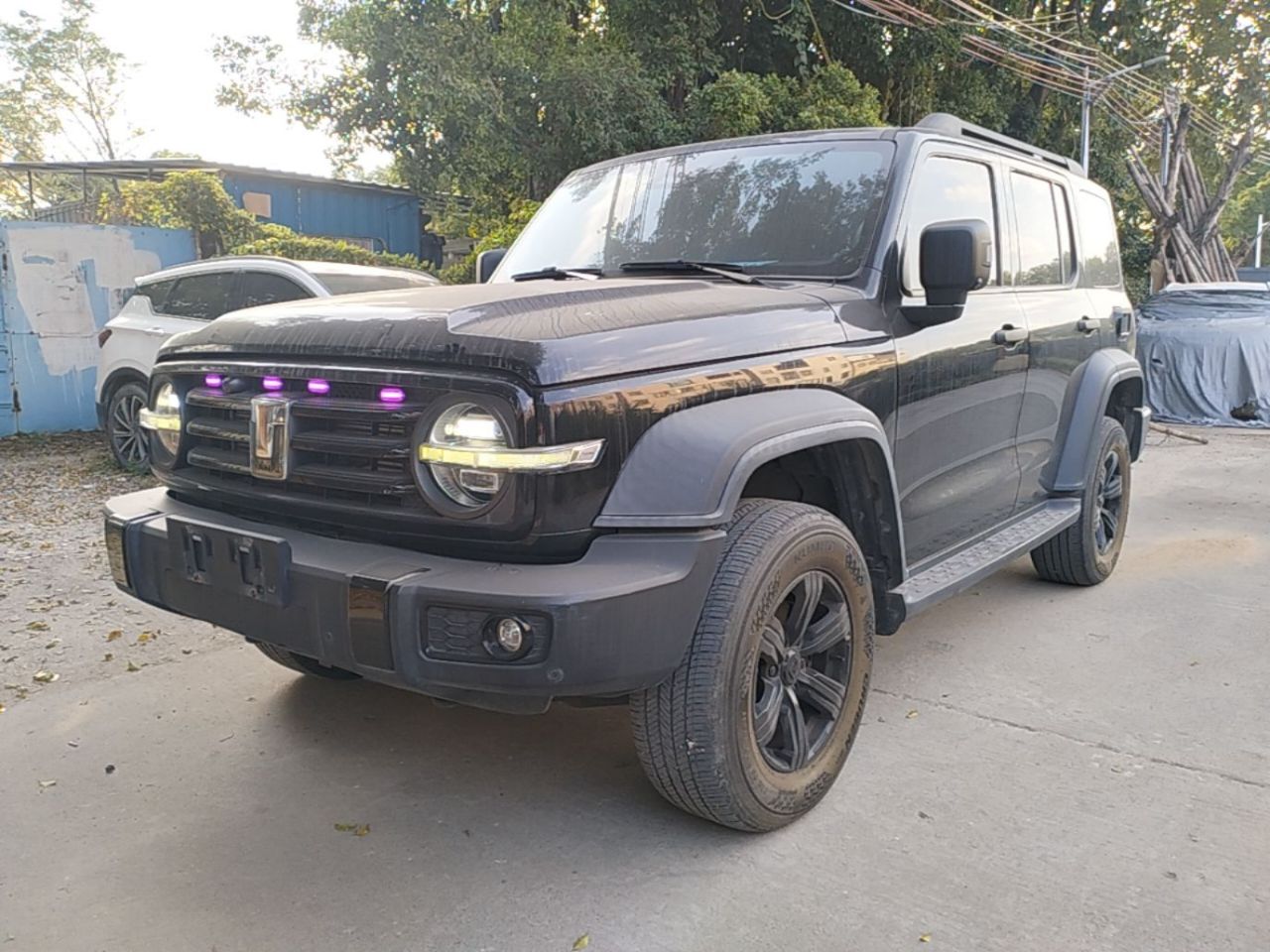300 2021 Off-road 2.0T