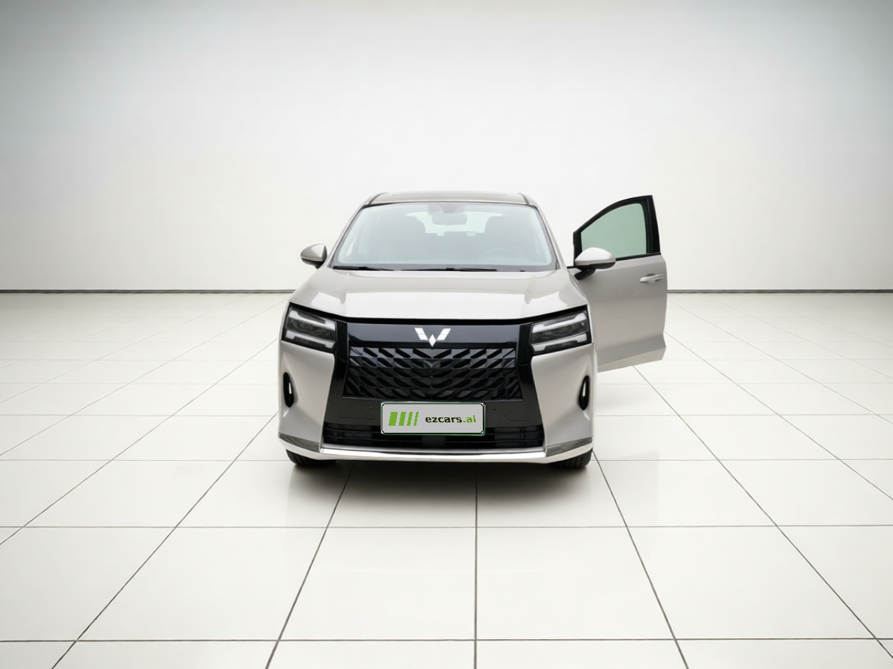 730 EV 2025 125km Luxury