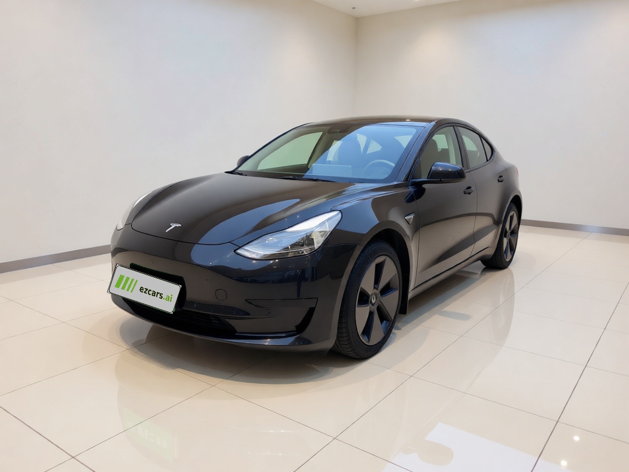 Model 3 2021 Facelift Standard Range RWD Upgraded 3D1