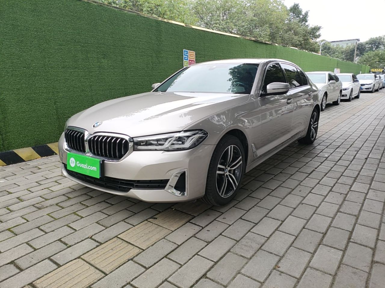 5 Series 2021 530Li Leading Luxury