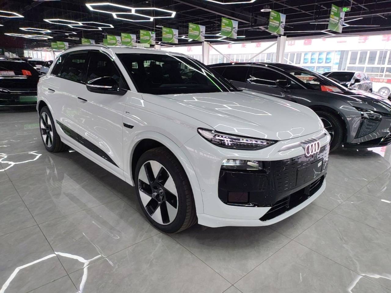 Q6L e-tron 2026 Pilot photo 3