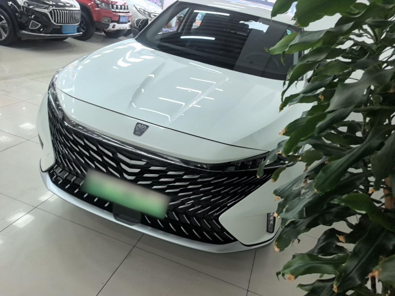 RX5 EV 2023 eRX5 Comfort