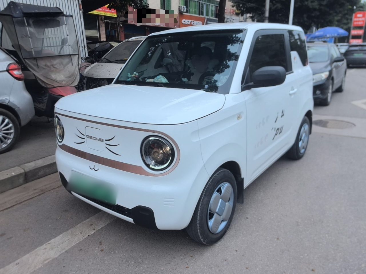 2023 Panda mini 200km Endurance Bear