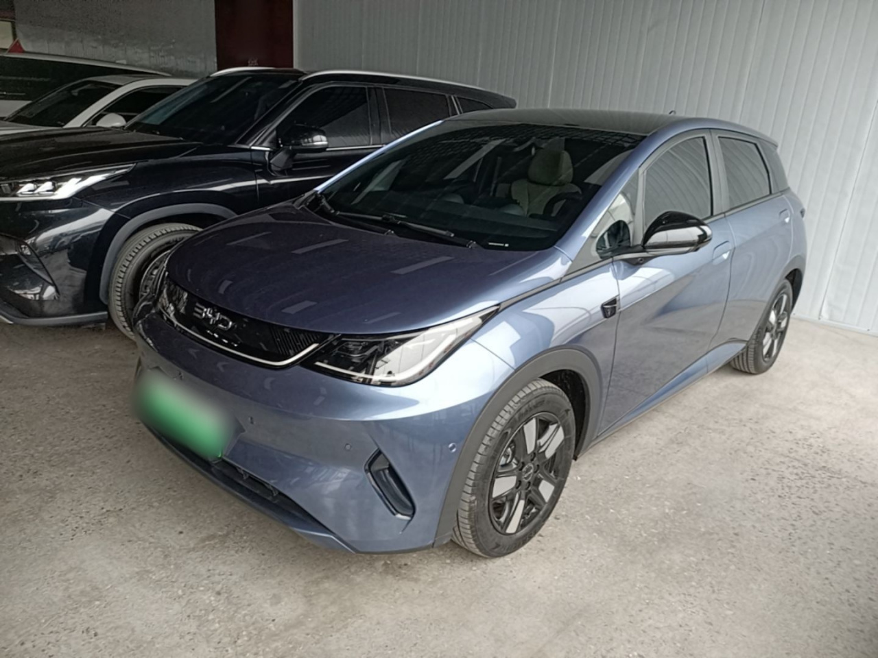Dolphin 2025 ADAS 410km Fashion