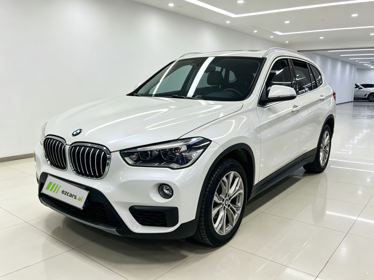 X1 2019 sDrive20Li Leading
