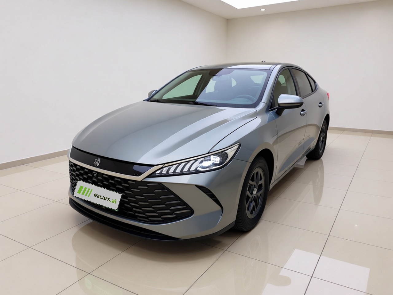 Qin PLUS 2025 DM-i ADAS 55KM Leading