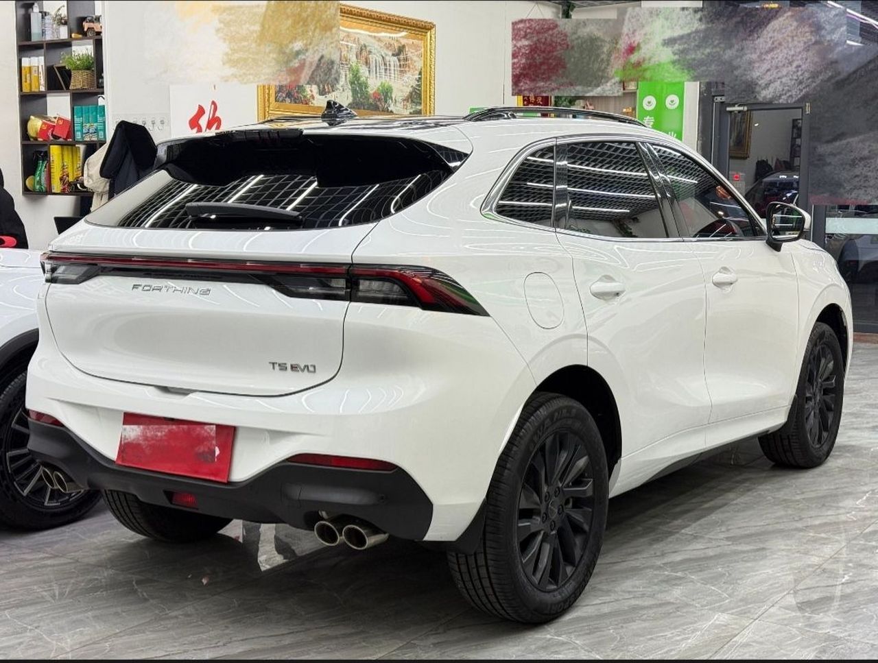Forthing T5 EVO 2021 1.5TD DCT photo 4