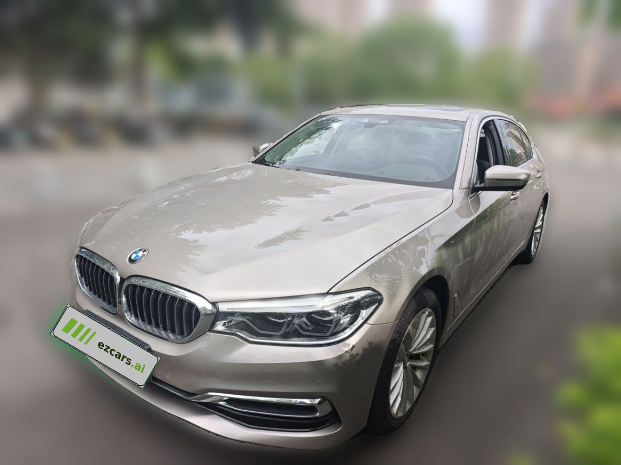 5 Series 2020 530Li Exclusive Luxury