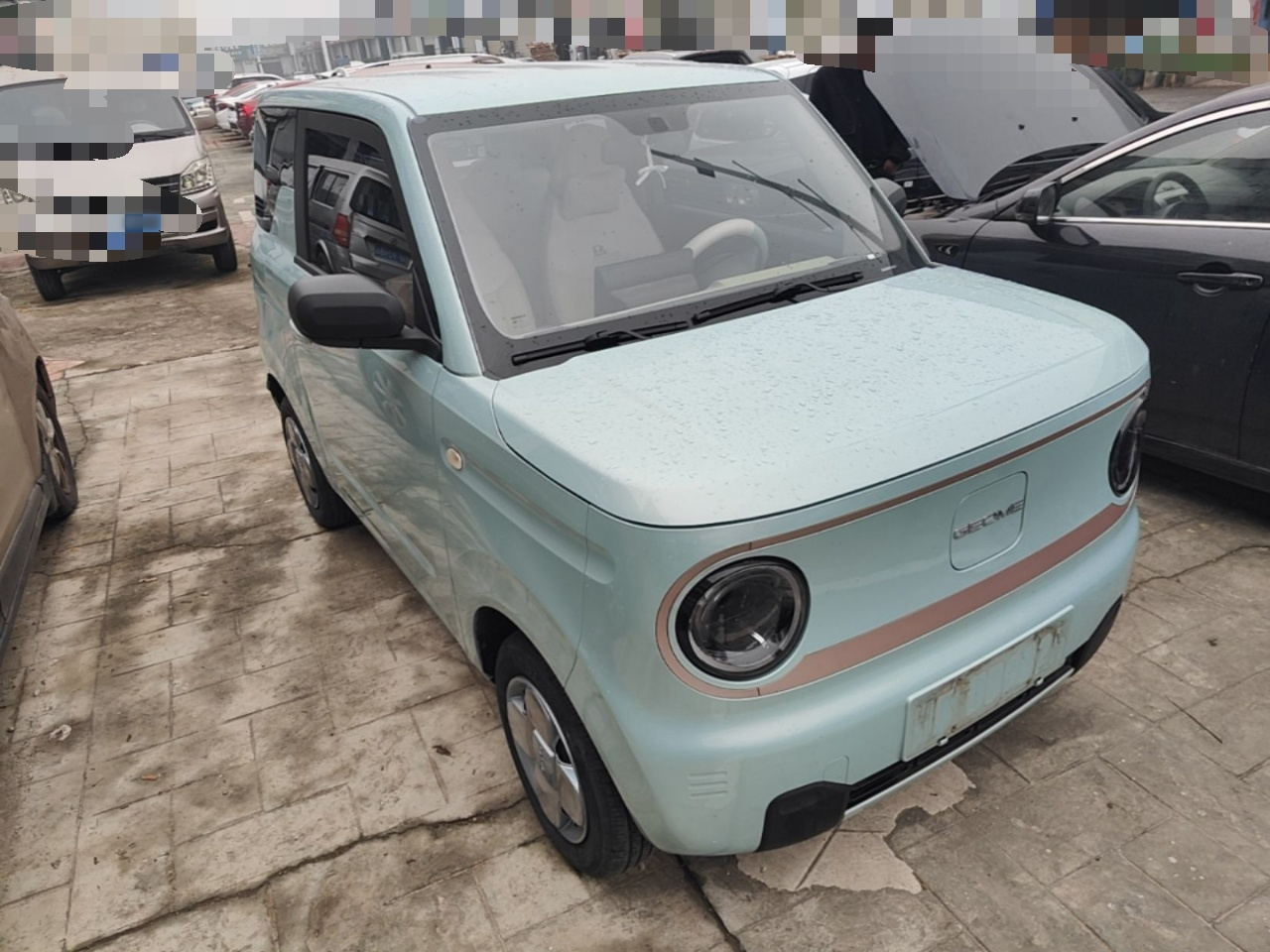 2023 Panda mini 200km Endurance Bear photo 3