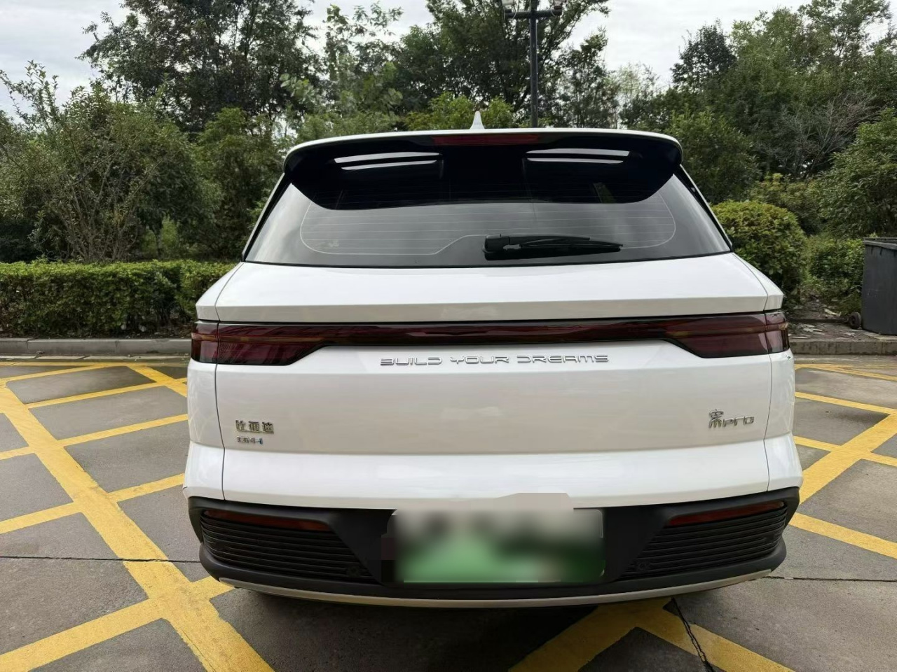 Song Pro EV 2024 Honor DM-i 110KM photo 4