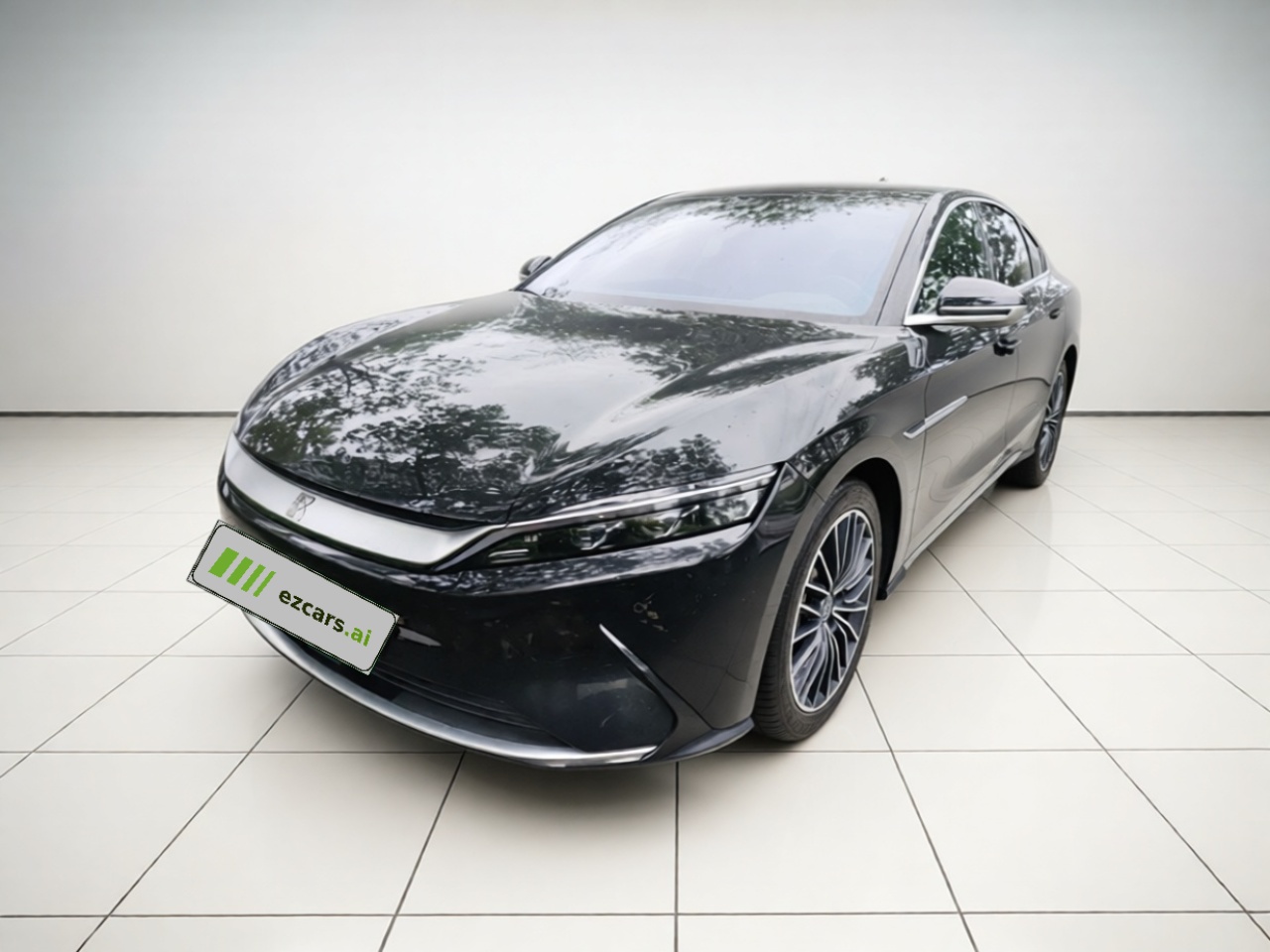 Han 2021 EV Standard Range Luxury