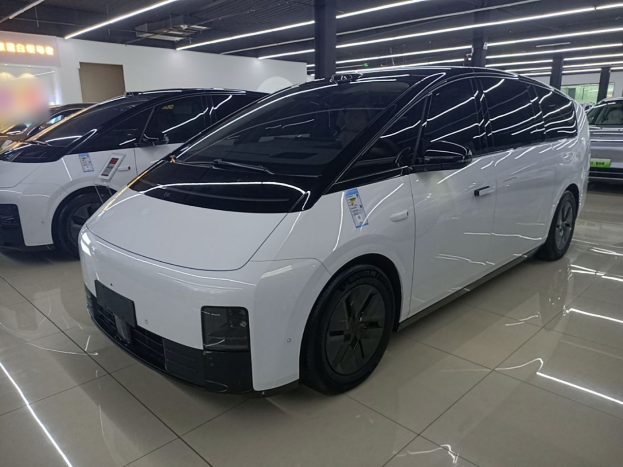 Li MEGA 2025 Home Family Special