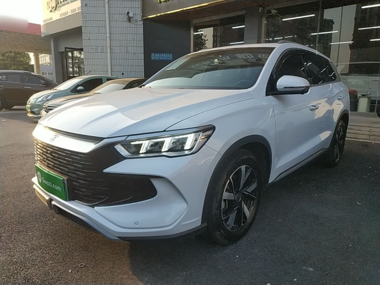 Song Pro EV 2024 Honor DM-i 110KM
