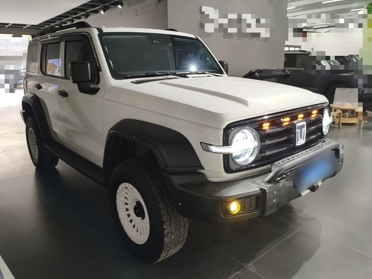 300 2024 2.0T Conqueror photo 3