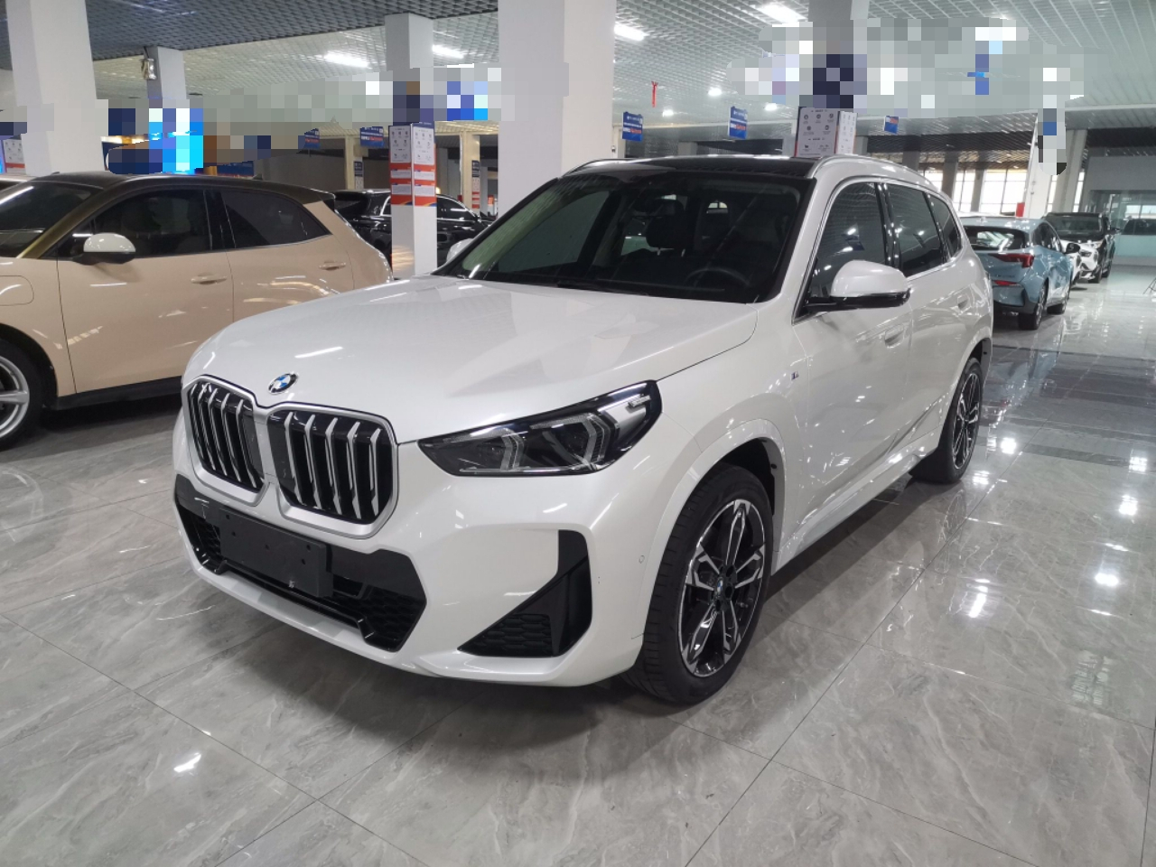 X1 2023 sDrive25Li M Sport Package