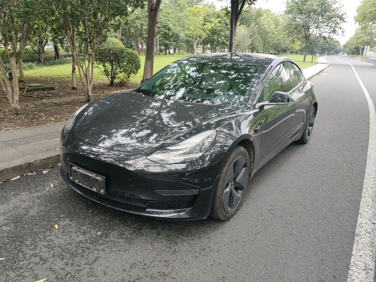 Model 3 Imported 2019 Long Range RWD