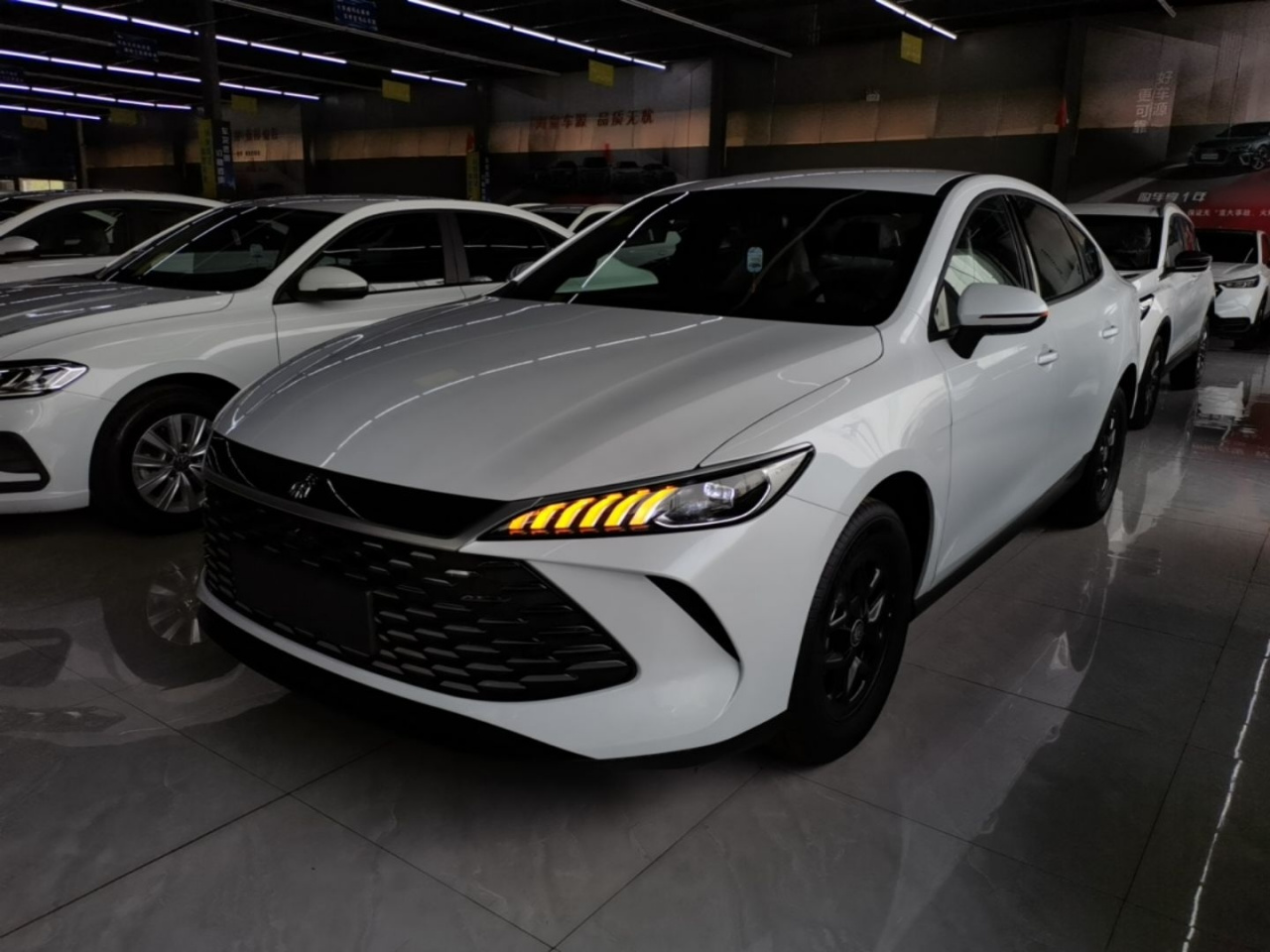 Qin PLUS 2025 DM-i ADAS 128KM Progressive